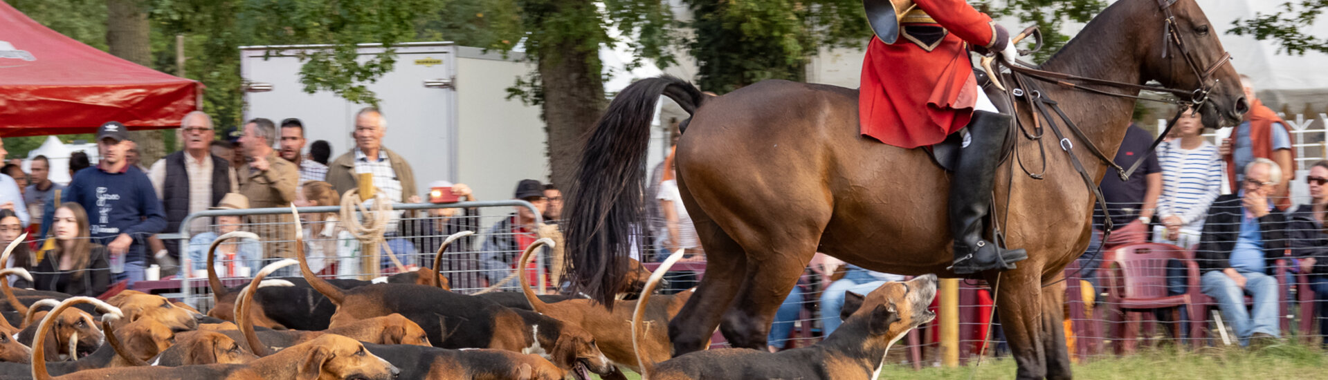 Dossier de presse de la Fête de la Sange